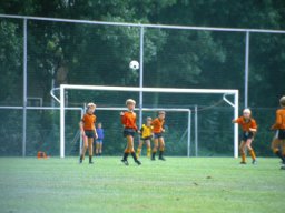 0DIA 1985 RAVA PUPS 1